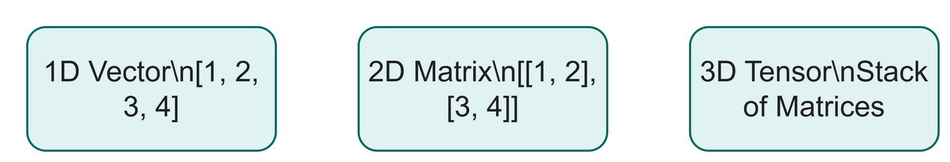 A 1D vector, a 2D matrix, and a 3D tensor shown as shapes