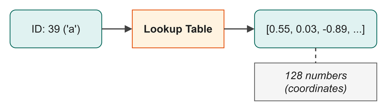 Looking up a token ID to find its embedding vector