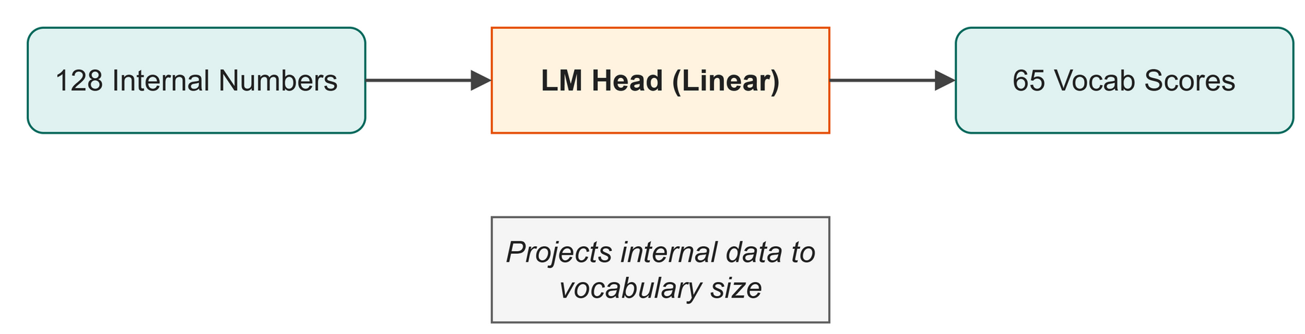 The internal 128 numbers are projected to 65 vocabulary scores