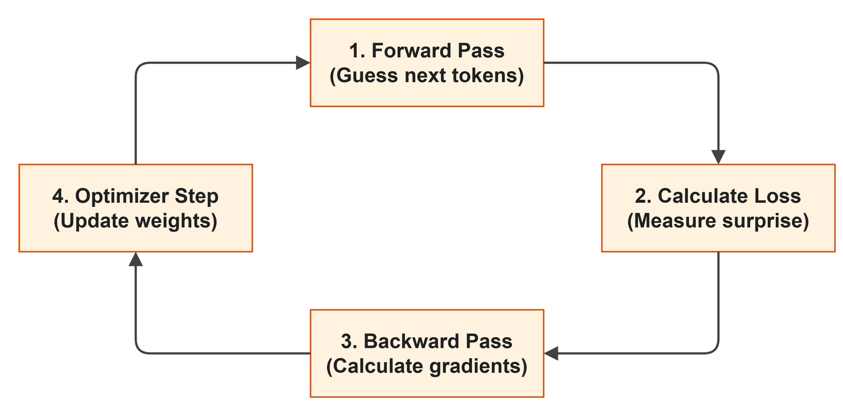 The training loop cycle